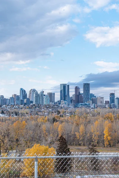 Centrala Calgary Alberta Affärsdistrikt Skyline — Stockfoto