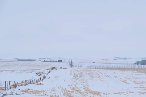 Зимний Пейзаж Вокруг Калгари Альберты — стоковое фото