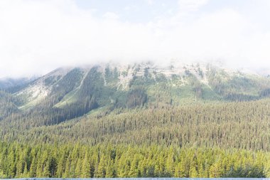 Dağlı, bulutlu ve ormanlı doğa manzarası