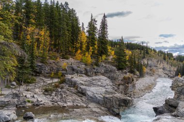 Alberta 'daki Kananaski taşra parkında Elbow Falls