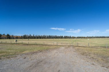 Tarım tarlası ve saman balyaları