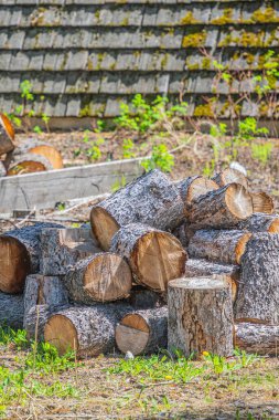 Bir binanın önünde yakacak odun yığını