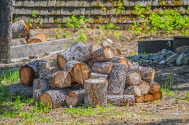 Bir binanın önünde yakacak odun yığını