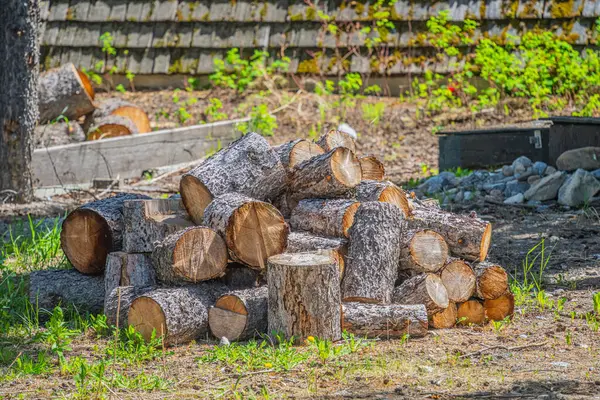 Bir binanın önünde yakacak odun yığını