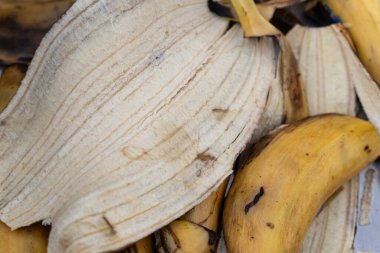 Olgun muz kabukları mutfak çöplüğünde.