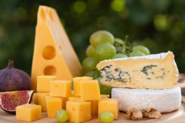 Yeşillik yapraklara karşı peynirin farklı türleri olan peynir tahtası. Brie, camembert, gouda, masada üzümlü ve incirli. Seçici odak, yakın plan.