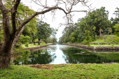 Sri Lanka 'daki Sigirya Aslan Kalesi' ne giden orman yolu.