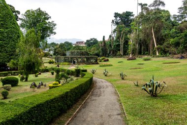 Kraliyet Botanik Kralı Bahçeleri. Peradeniya. Kandy mi? Sri Lanka.