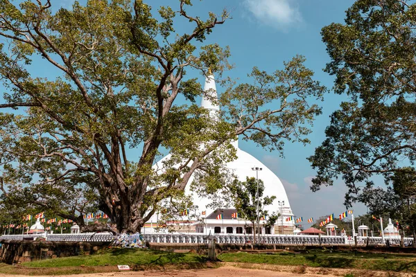 Ruwanweliseya Dagoba Budista Stupa Turista Local Peregrinação Anuradhapura Sri Lanka — Fotografia de Stock