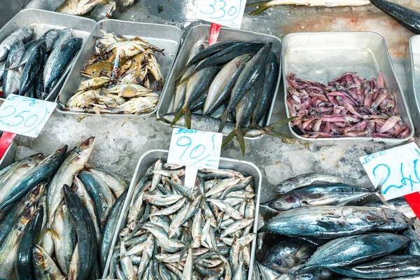 Fisheries Activities Fish Market Negombo Sri Lanka — Stock Photo, Image