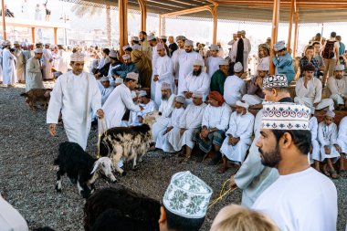 NIZWA, OMAN - NOVEMBER 18, 2022: Nizwa Goat Market. Traditional Animal Bazaar at Nizwa, Oman.  clipart