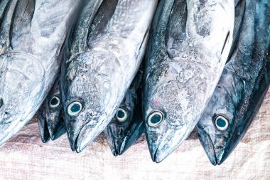 Mutrah, Umman 'da geleneksel balık pazarı. Satılık çeşitli balık türleri, ton balığı ve diğer balıklar..