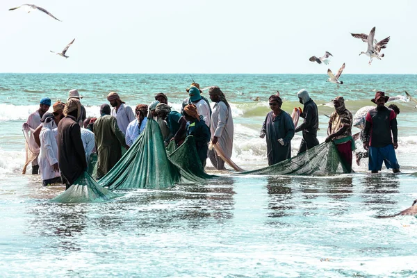 Рыбаки Ловят Сардины Пляжа Салала Большая Сеть Полная Сардин Вокруг — стоковое фото