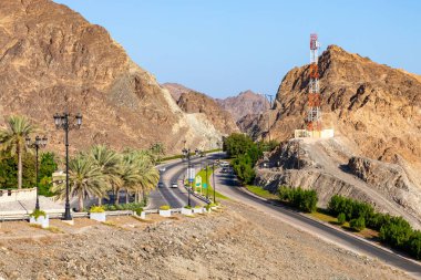 Palmiye ağaçlı yol. Geleneksel Umman mimarisi. Eski Muscat Kasabası, Umman. Arap Yarımadası. 