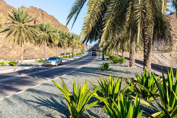 Road Palm Trees Traditional Omani Architecture Old Town Muscat Oman — Stock Photo, Image