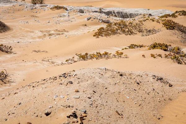 Namibia Desert Sand Dunes Swakopmund Skeleton Coast Namibia Africa — Stock Photo, Image
