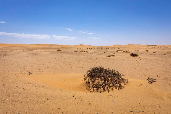 Deserto Namíbia Dunas Areia Perto Swakopmund Costa Dos Esqueletos Namíbia — Fotografia de Stock