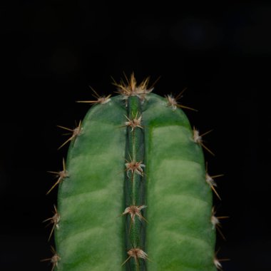 Masadaki iş belgelerinin yığını.