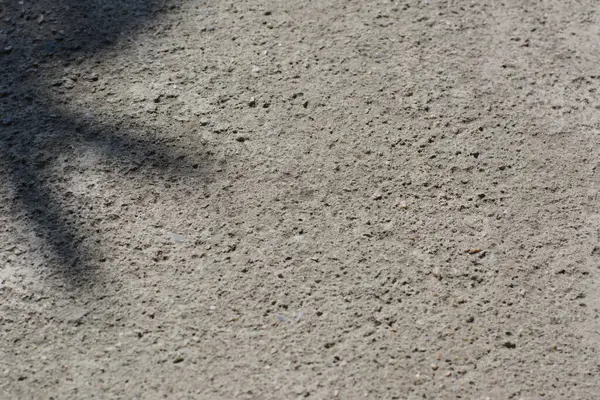 Поверхня Бетонної Стіни Листям Тіні Фону Шпалер — стокове фото