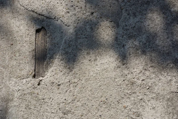 Superfície Parede Concreto Com Sombra Folha Para Fundo Papel Parede — Fotografia de Stock