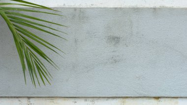 Beyaz gri beton arka planda palmiye yaprağı.