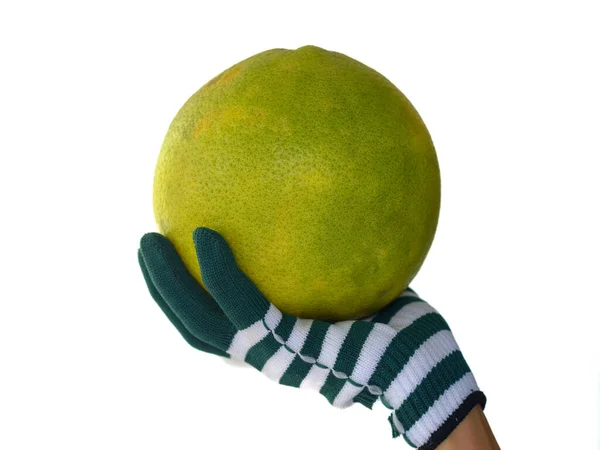 Grapefruit Lány Kezét Visel Zöld Ruha Kesztyű Elszigetelt Fehér Háttér — Stock Fotó
