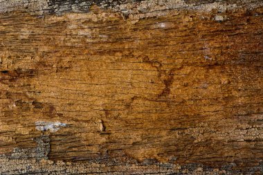 Ahşap yüzey dokusu arka planının makro görüntüsü.