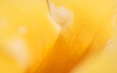 Tam çerçeveli sarı çiçeğin soyut makro görüntüsü.