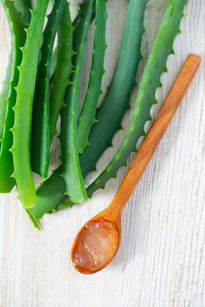 Fresh Aloe Stem Slices Gel Isolated White — Stock Photo, Image