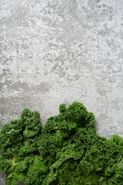 Kale Cabbage Grey Stone Surface — Stock Photo, Image