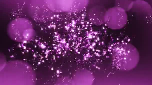 15周年おめでとうピンクの背景ロゴ — ストック動画