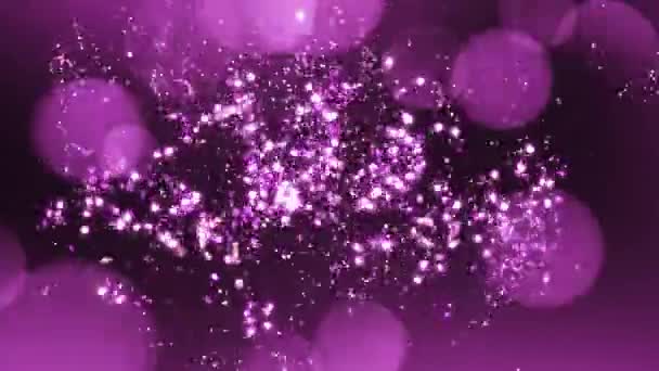 20周年おめでとうピンクの背景ロゴ — ストック動画