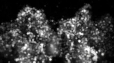 Particle background, black and white particles, particle explosion