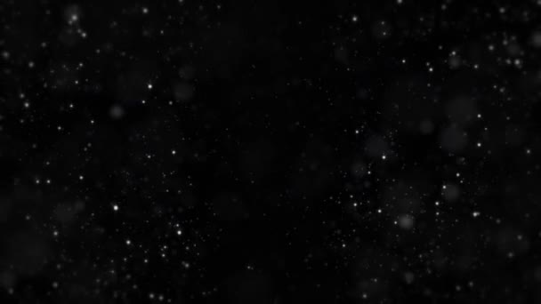 Black Background Particles Snowflakes Snowflakes Particles Flying — Stock video