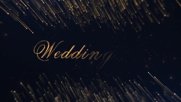 Banner Luxury Style Happy Wedding Day Gold — Stockvideo