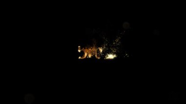 Ayın adı, Şubat ayının altın rengi ve parçacıkları, alfa kanalı