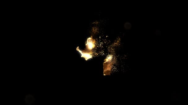 Parçacıklardan Altın Sayı Numaralandırma Seksen Bir Altın Sayılar Alfa Kanal — Stok video
