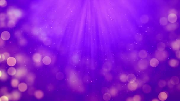 Фиолетовый Фон Наград Огнями Цветами Боке — стоковое видео