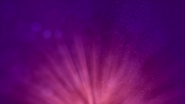 Purple Premia Fondo Con Luces Partículas — Vídeo de stock
