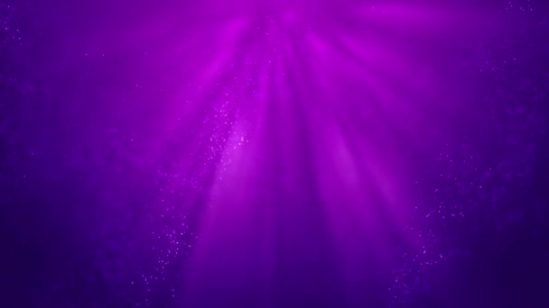 Fond Violet Avec Lumières Mouvement Des Particules — Video