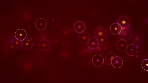 Fond Rouge Avec Cercles Particules — Video