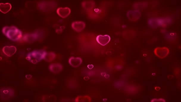 Красный Фон Сердцами День Святого Валентина Фон Сердцами — стоковое видео