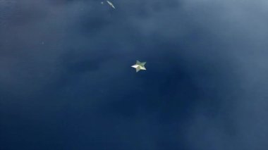 15. yaş günün kutlu olsun. Sinema tarzında. Mutlu yıllar.