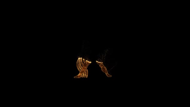 Знак Зодіаку Водолія Золотому Стилі Частинками Гороскопом Альфа Каналом — стокове відео
