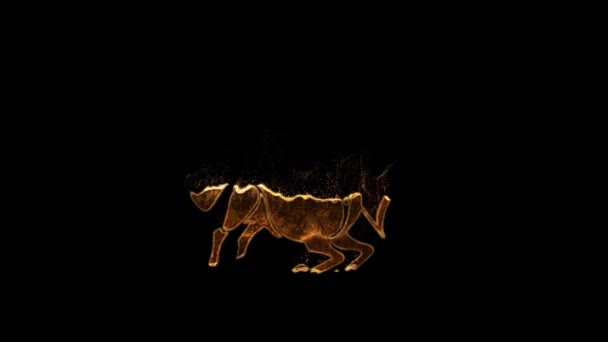 Znak Zodiaku Strzelca Złotym Stylu Cząstkami Horoskopem Kanałem Alfa — Wideo stockowe