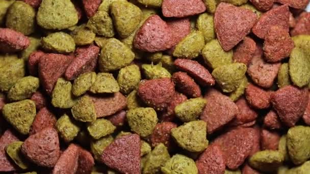 Pet Food Rotates Plate Macro Mode Cat Dog Food — Stock Video