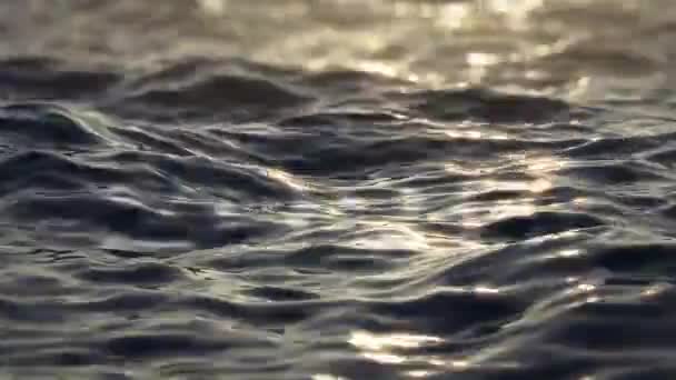 Новый 2025 Год Поздравления Новым 2025 Годом Графика Море Закат — стоковое видео