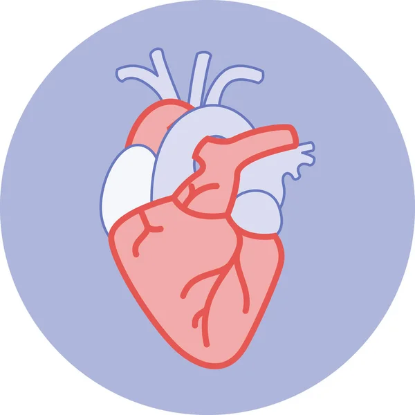 Anatomi Ilustrasi Jantung Ikon Nyata Untuk Aplikasi Kebugaran Atau Situs - Stok Vektor