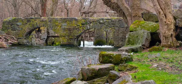 Taş köprü - bir değirmenin parçası. Hızlı bir nehrin akışı değirmen tekerine aktı. Su çarkı ve ormandaki eski değirmen..