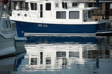 Edmonds Marina, Edmonds, Batı Washington 'a yanaşan mavi ve beyaz balıkçı teknesinin yansıması.